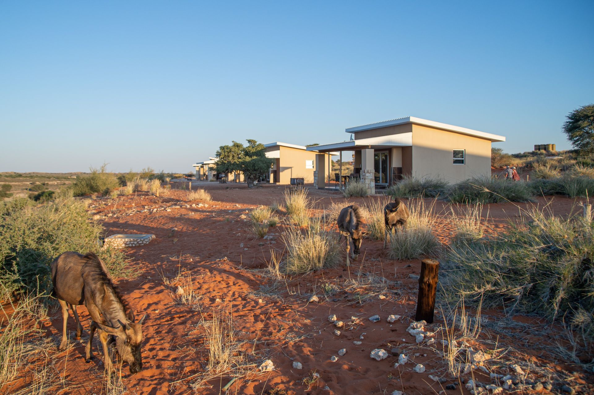 Kgalagadi Lifestyle  Lodge 2