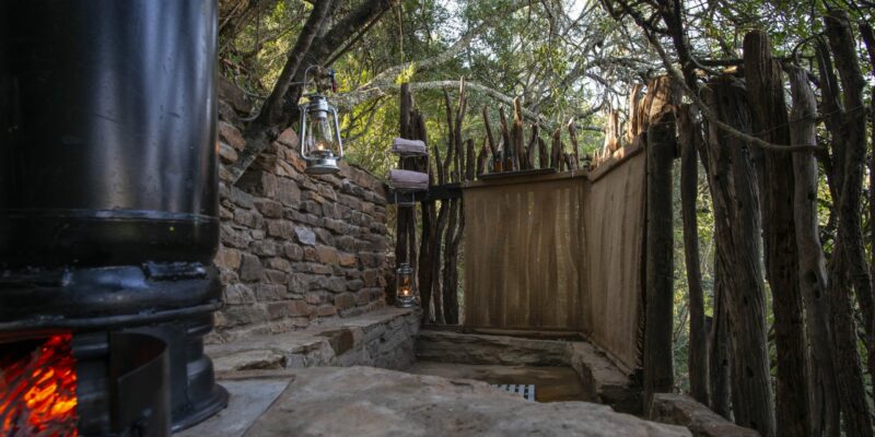 Bellevue Forest Reserve - Stargazer Camp 5