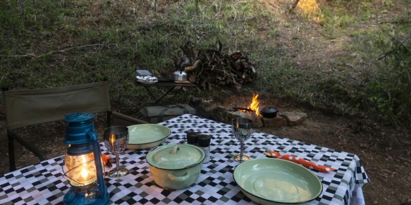 Bellevue Forest Reserve - Stargazer Camp 6