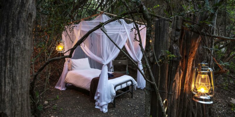 Bellevue Forest Reserve - Stargazer Camp 3