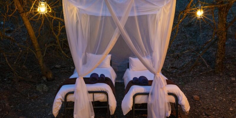 Bellevue Forest Reserve - Stargazer Camp 2