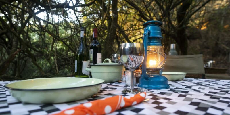Bellevue Forest Reserve - Stargazer Camp 4