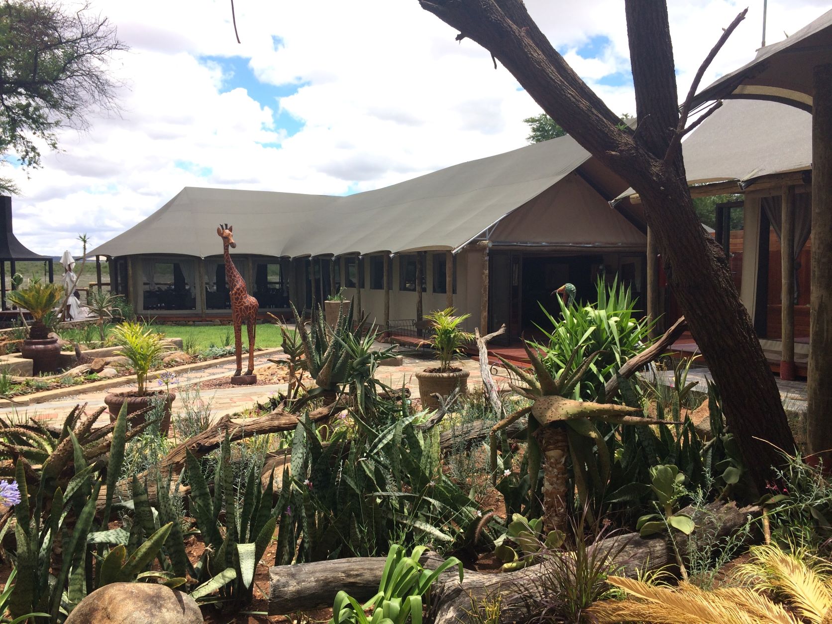 Tau Game Lodge 2