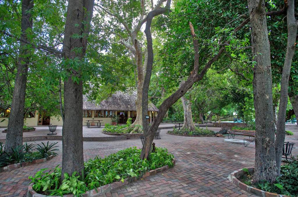 Island Safari Lodge