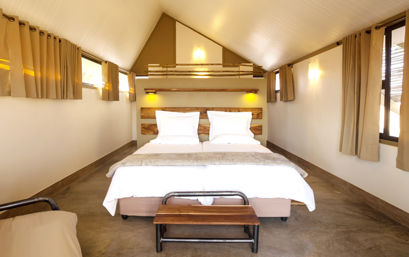 Desert Quiver Camp 9