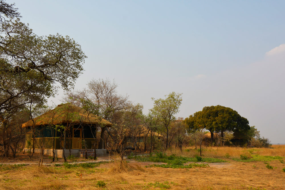 Kasonso Busanga