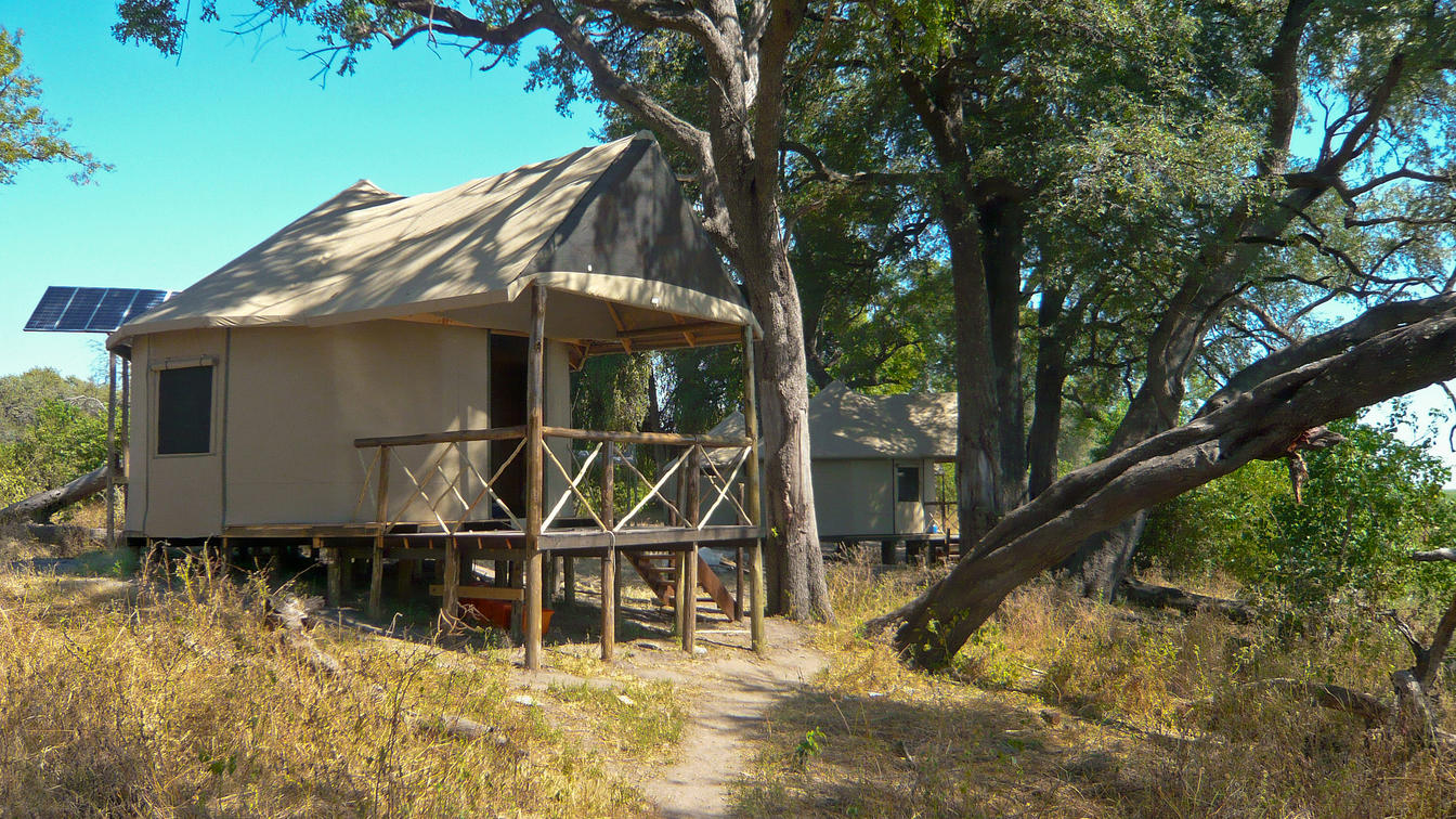 Camp Linyanti