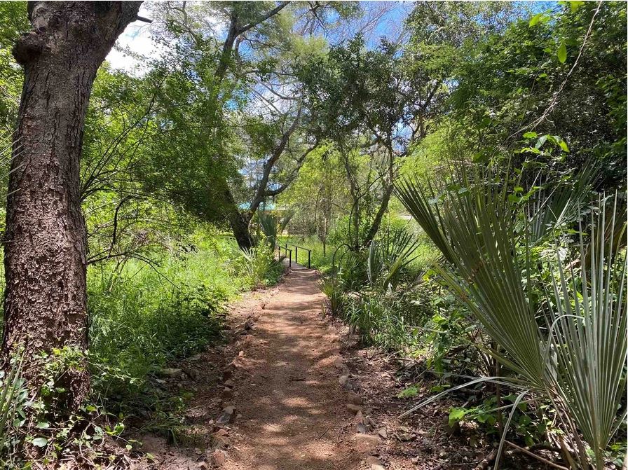 The Woodlands at Waterberry Zambezi Lodge