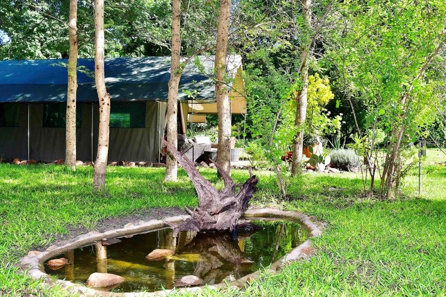 The Woodlands at Waterberry Zambezi Lodge
