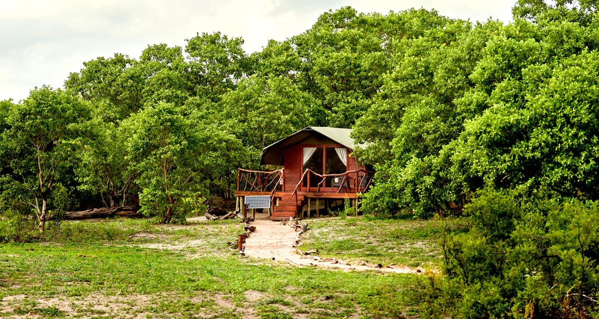 Camp Savuti