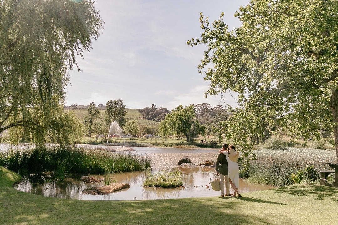 Spier Hotel 5