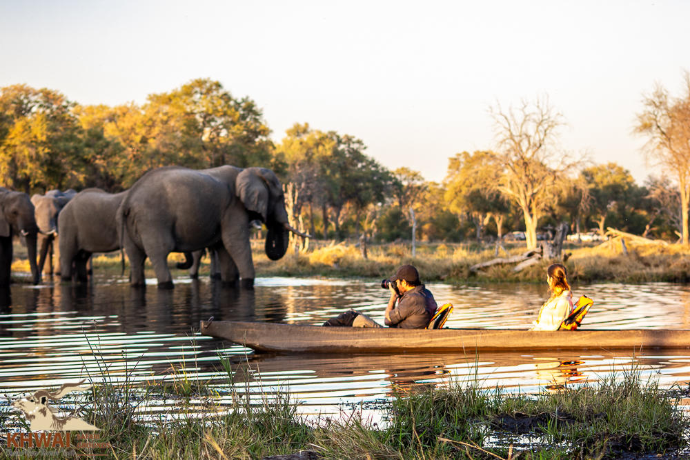 Mogotlho Safari Lodge