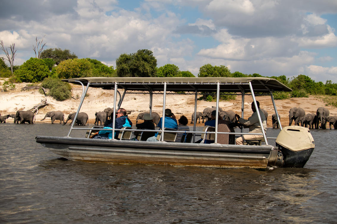 Zambezi Queen by Mantis