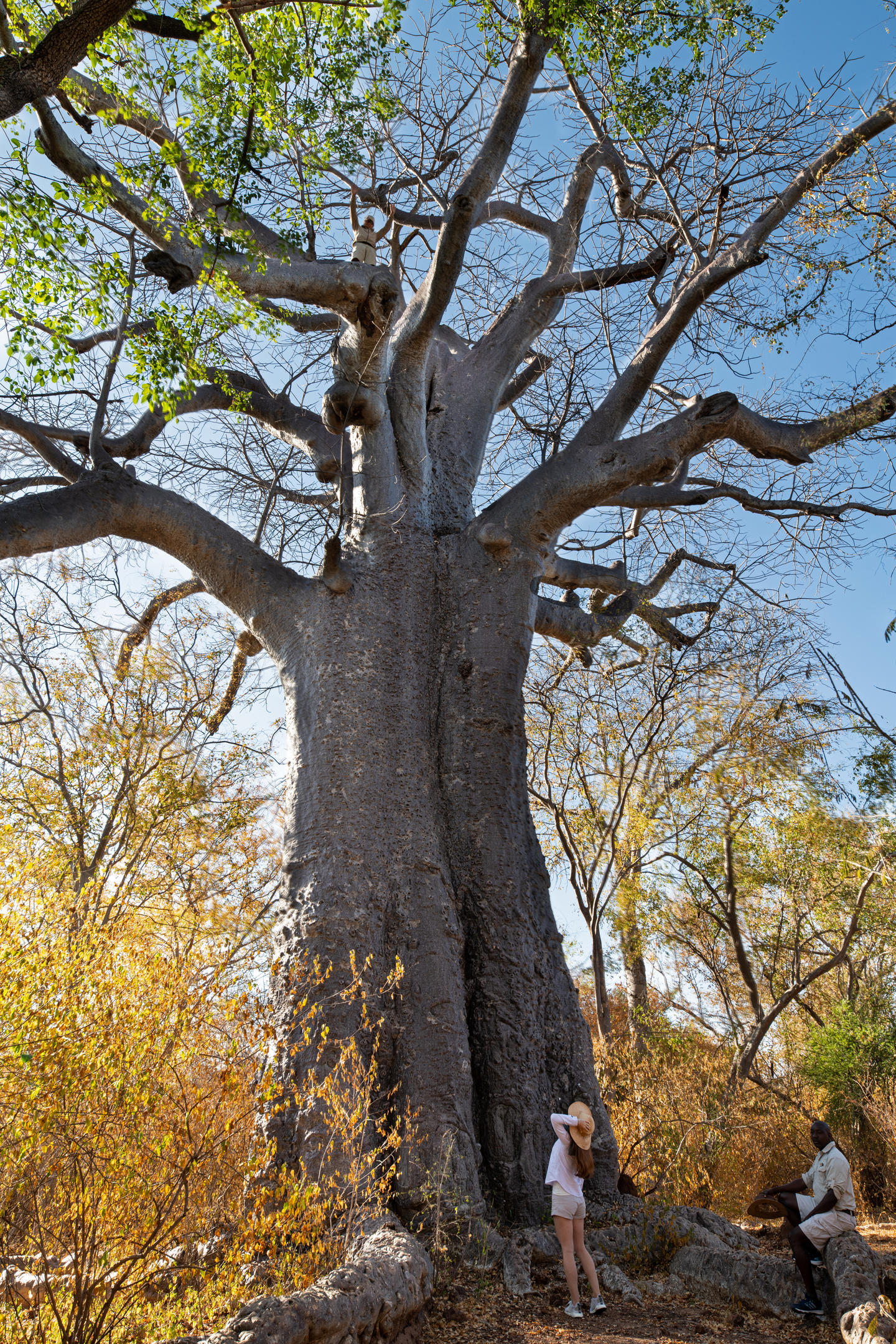 Ichingo Chobe River Lodge by Mantis