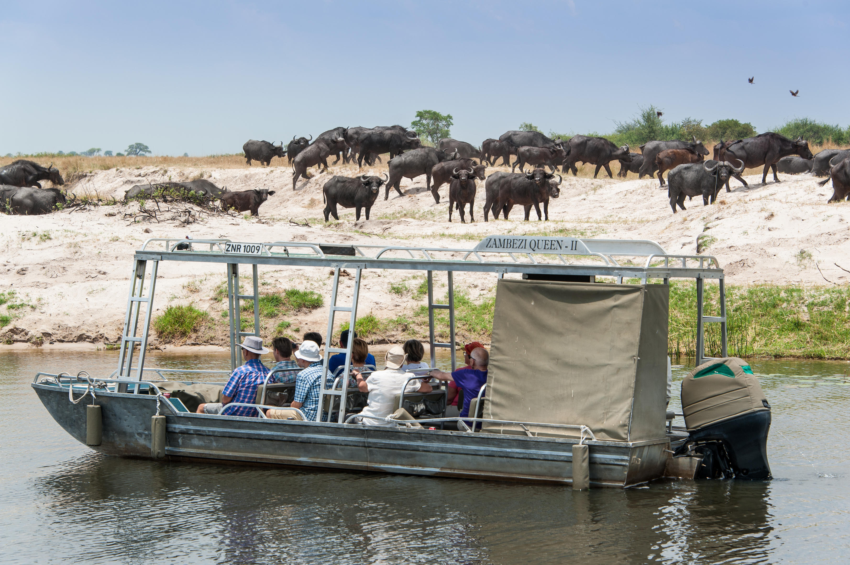Ichingo Chobe River Lodge by Mantis