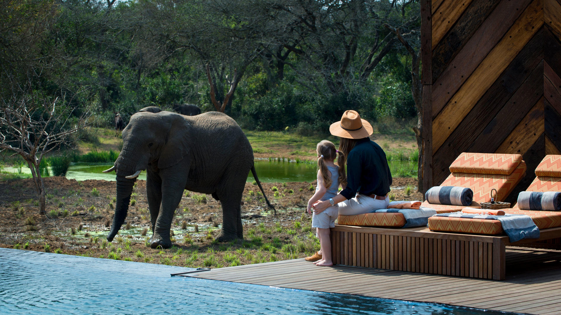 Phinda Homestead 5