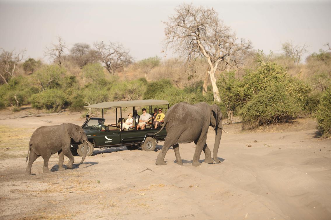 Chobe Under Canvas