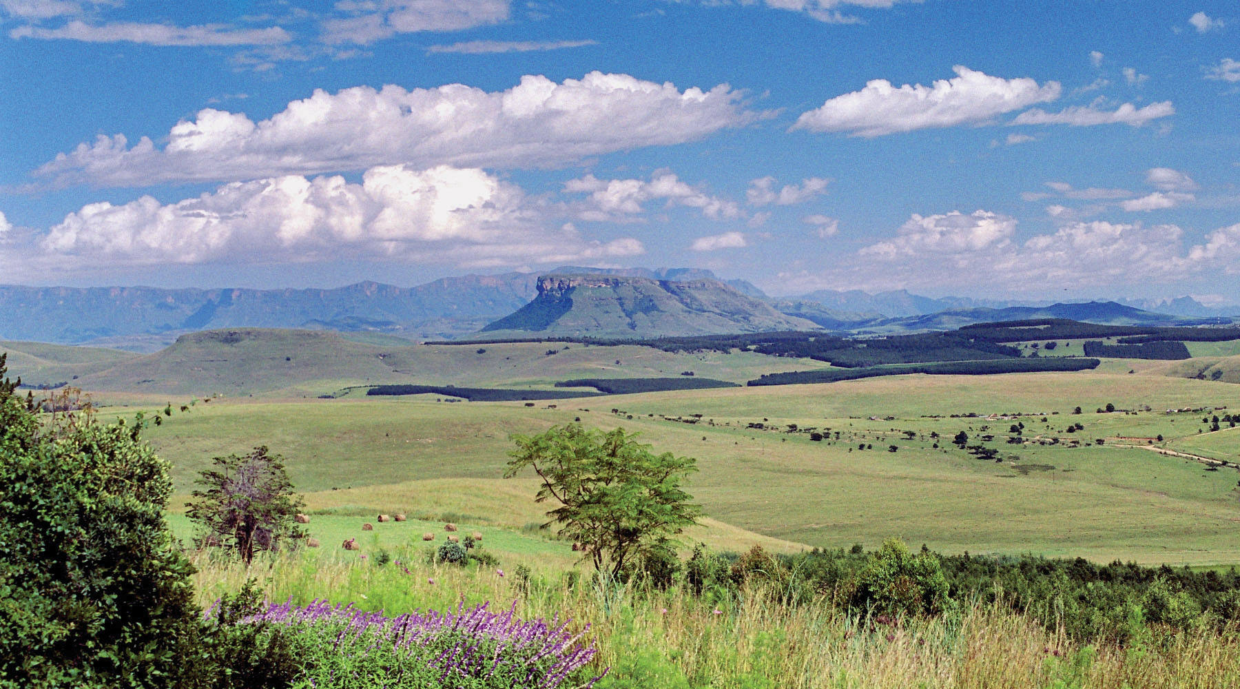 Antbear Eco Lodge 5