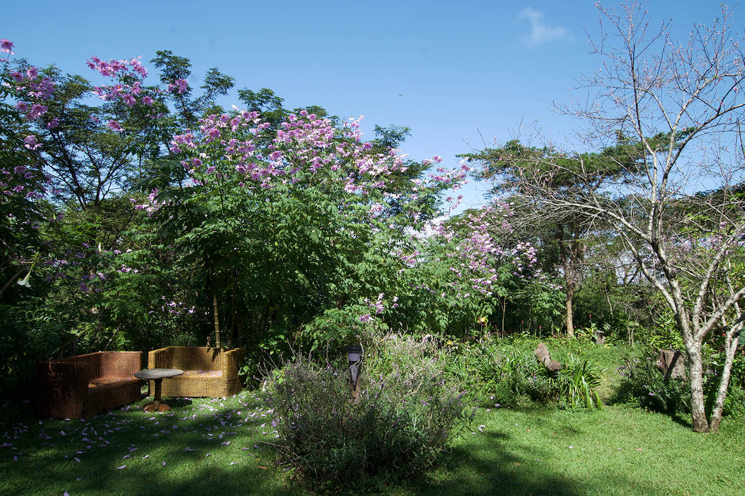 Zomba Forest Lodge