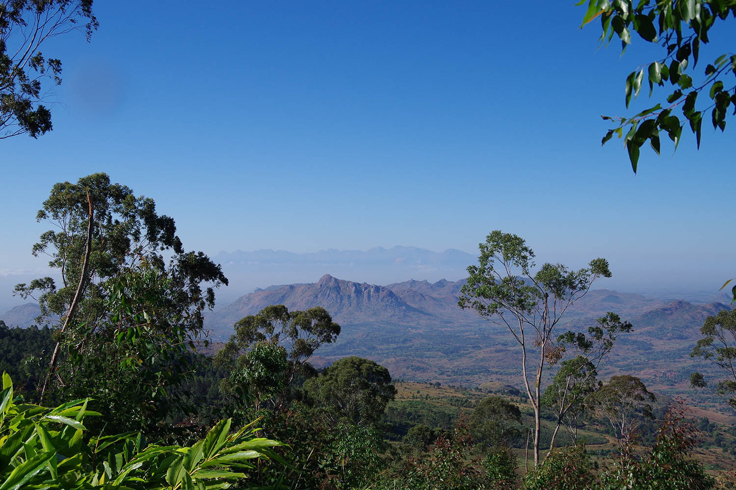 Zomba Forest Lodge