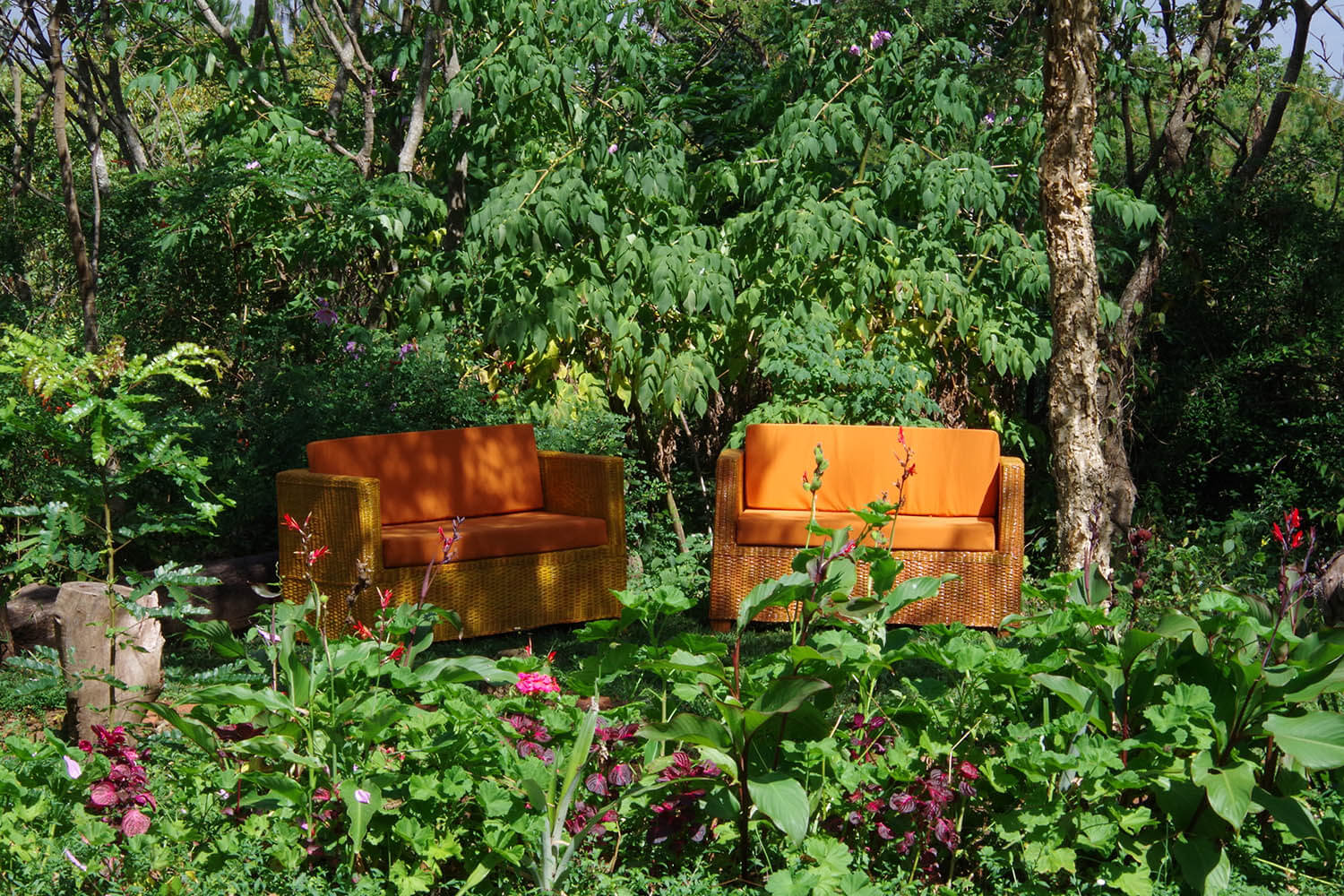 Zomba Forest Lodge