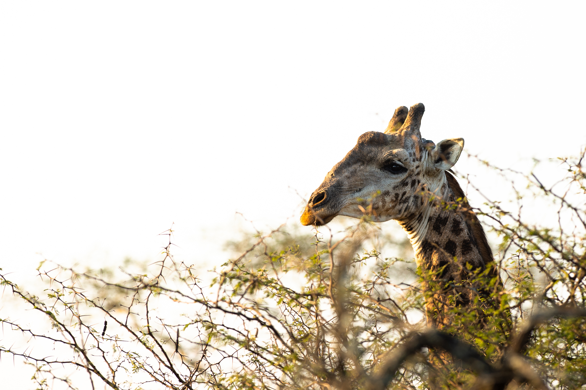 Zululand Lodge 7