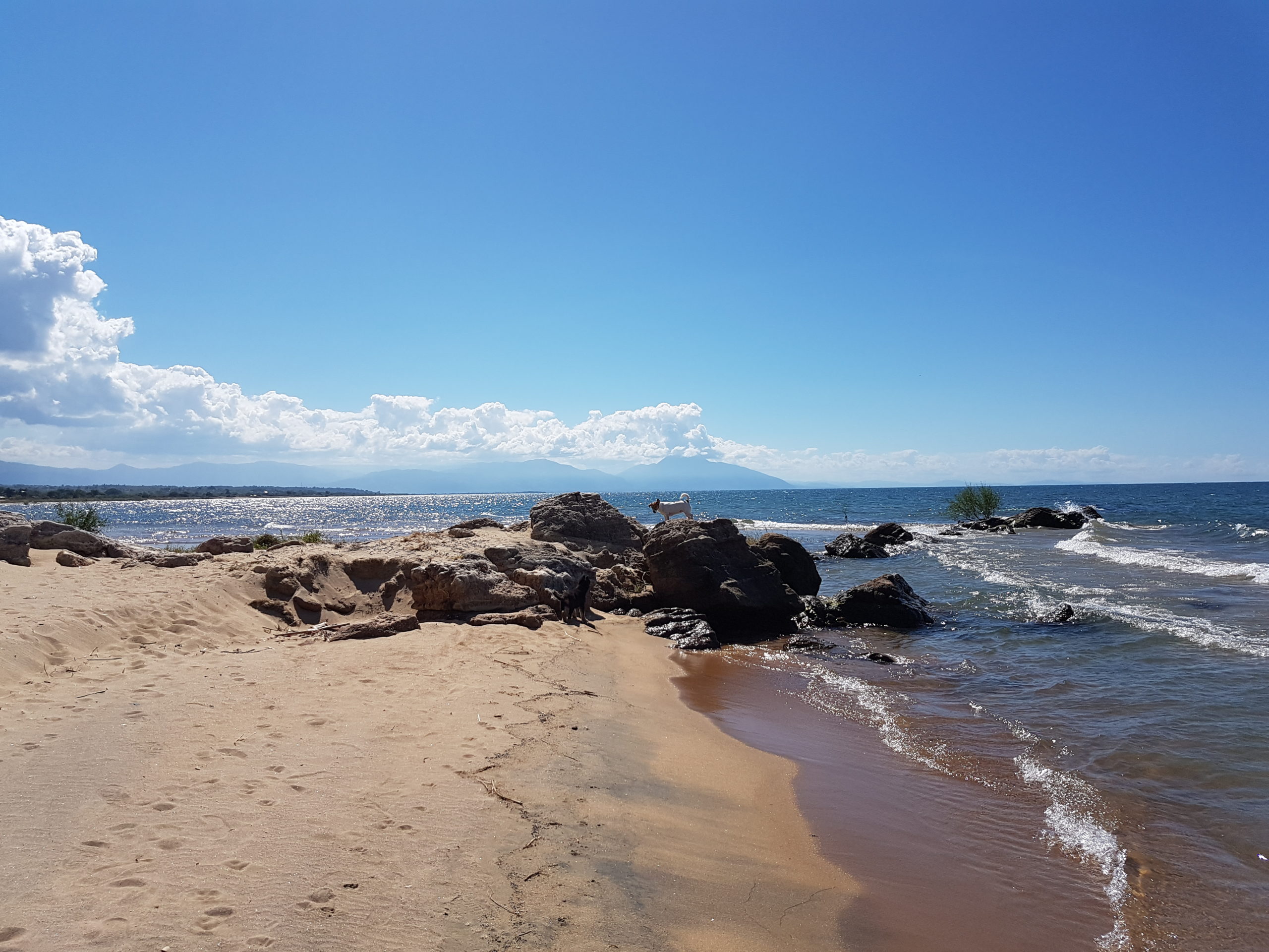 Ngala Beach Lodge