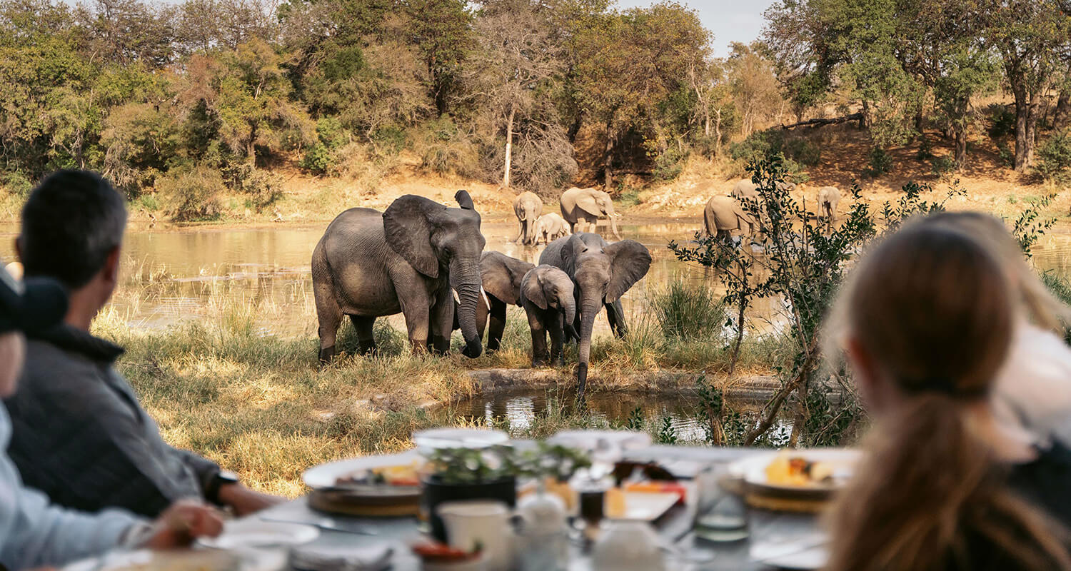 Simbavati River Lodge 3