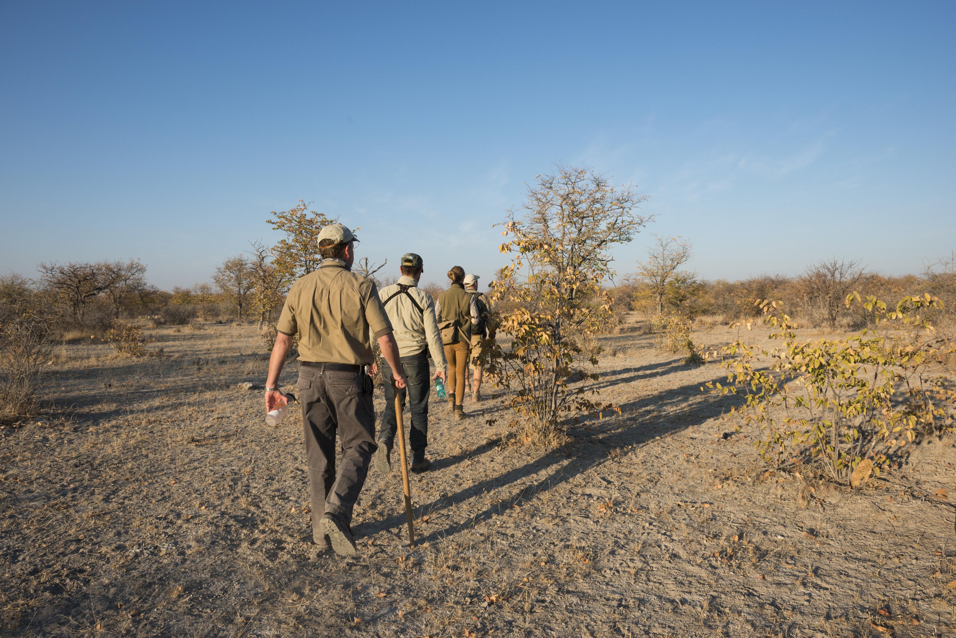 Anderssons at Ongava 7