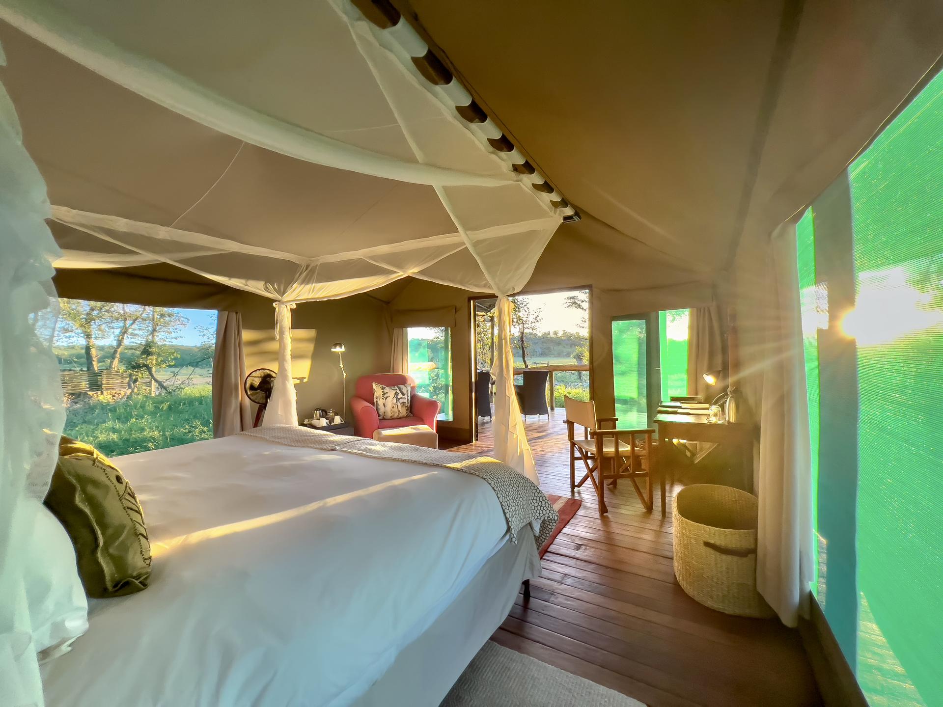 Ongava Tented Camp 6