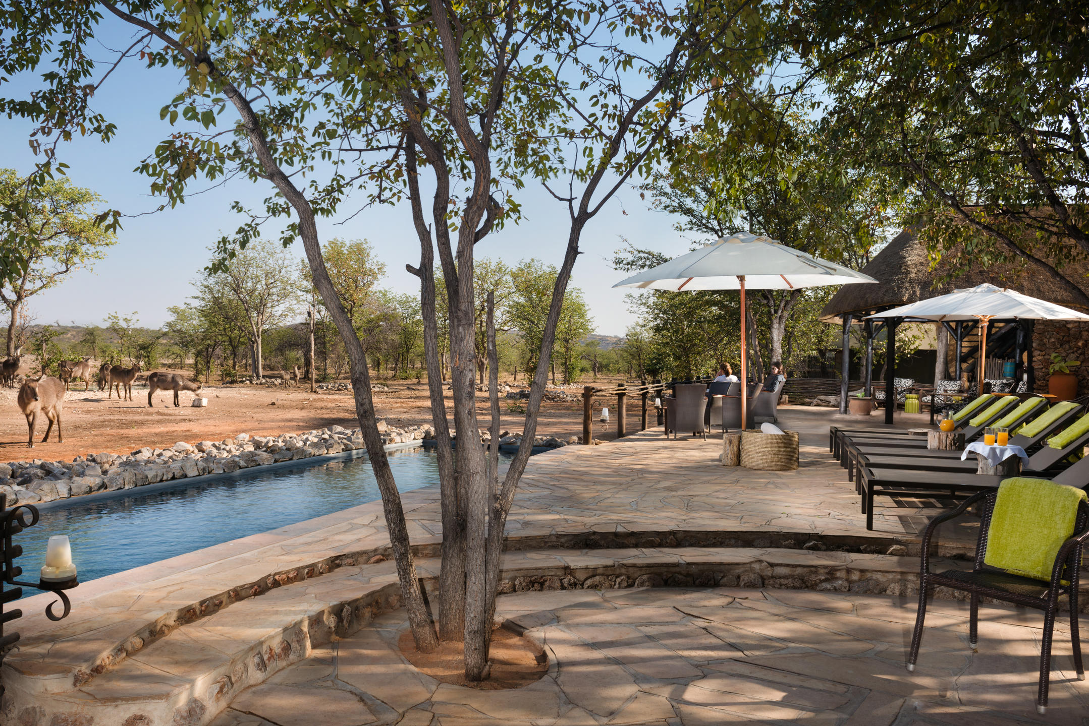 Ongava Tented Camp 9