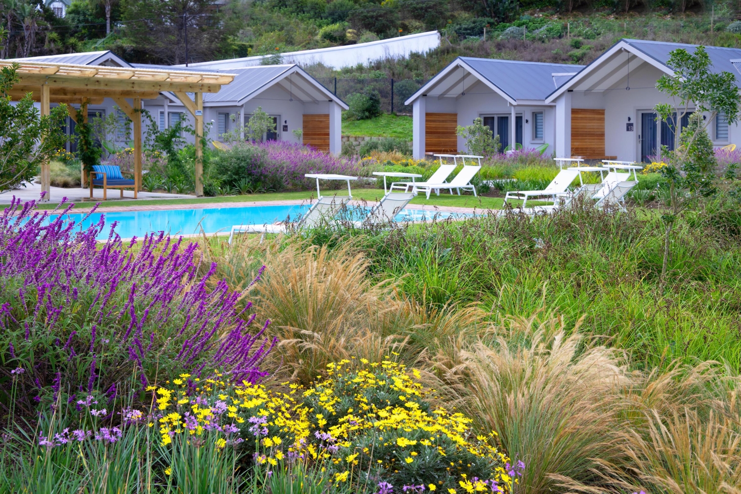 Knysna Hollow Country Estate 3