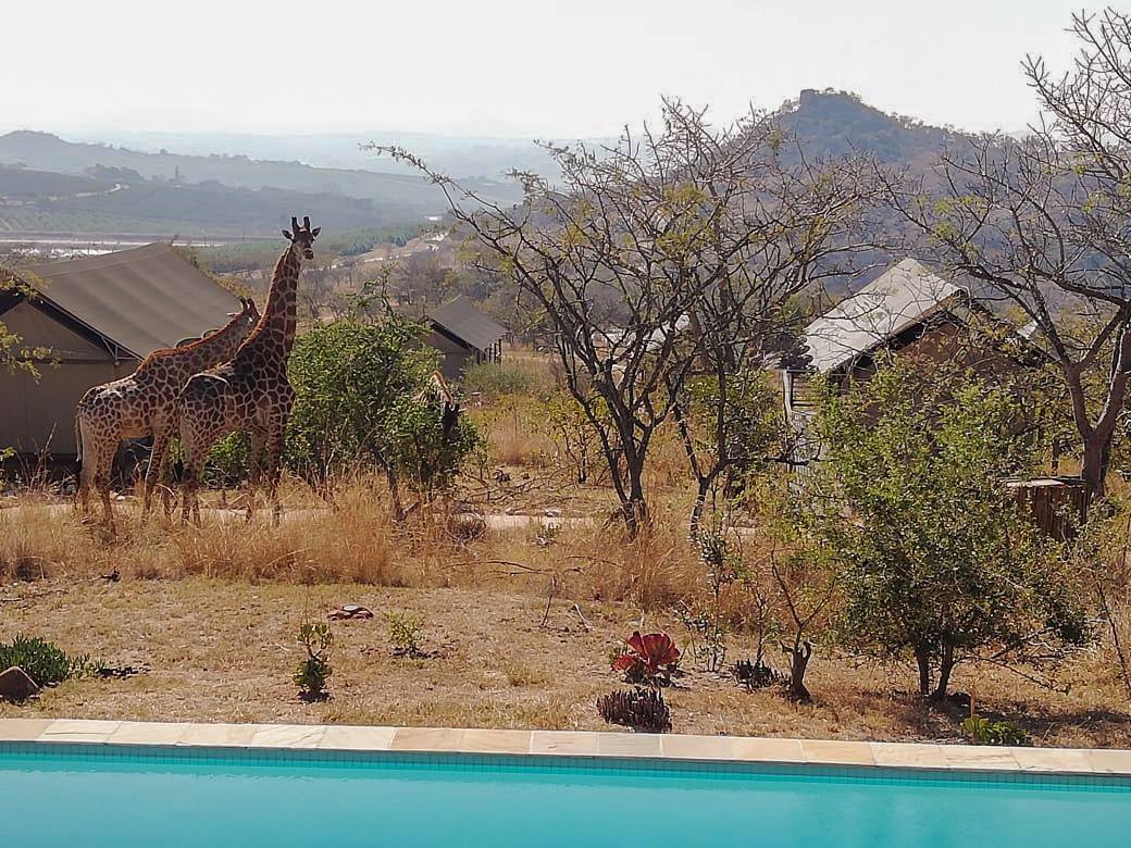 Ndhula Luxury Tented Lodge 5
