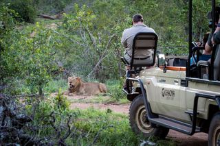 Chacma Bush Camp thumbnail 2