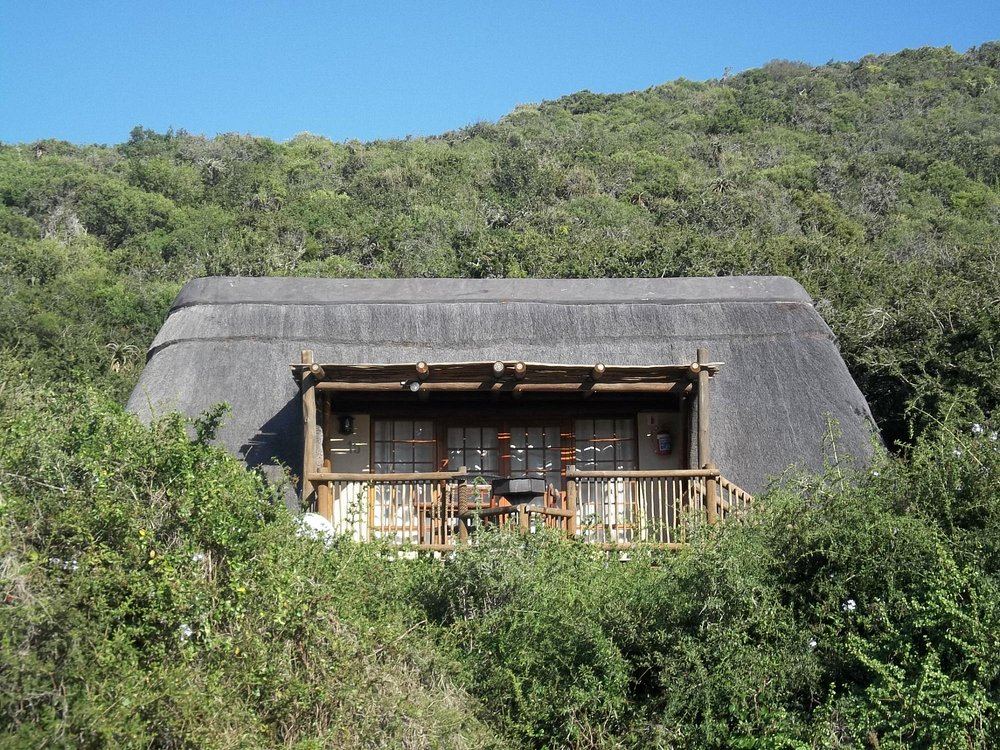 Addo Elephant Matyholweni Rest Camp