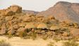 Camp Kipwe